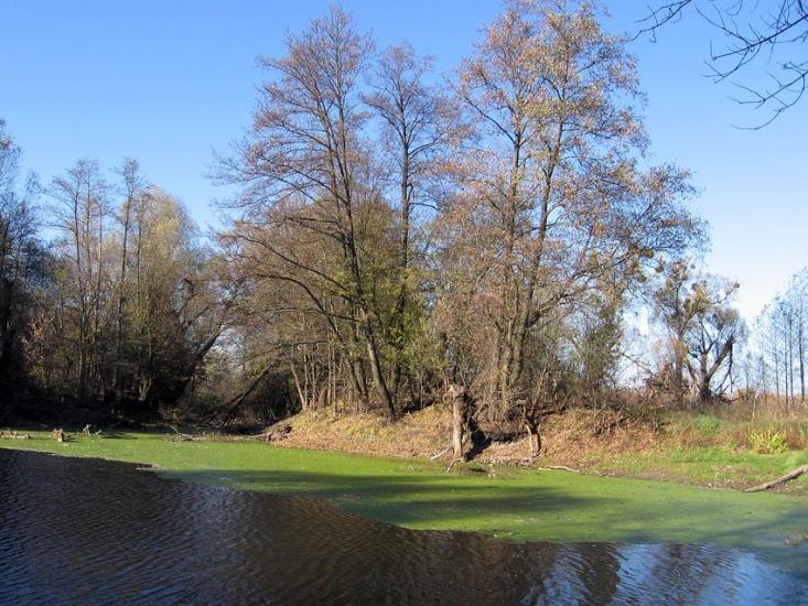 Вельбівка з panoramio.com - Вельбовка