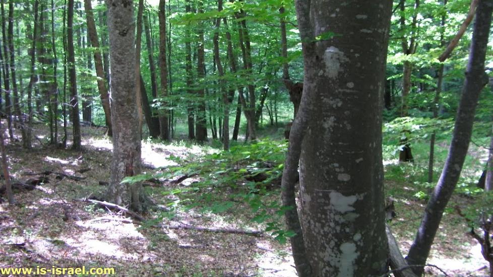 Многоріччя з panoramio.com - Многоречье