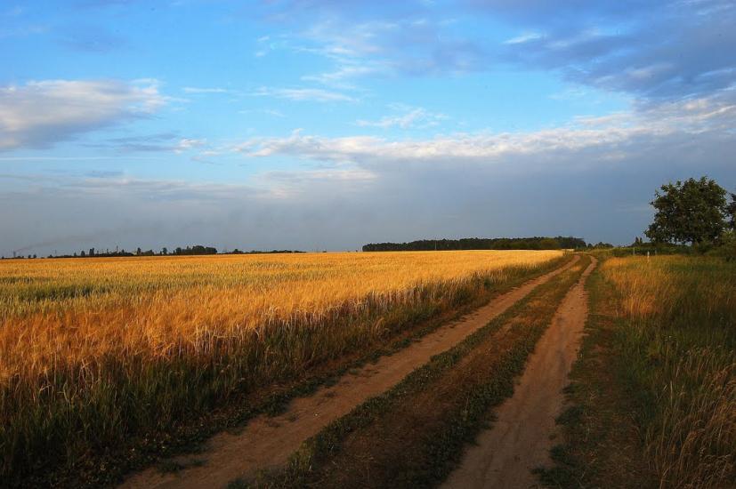 Обухів з panoramio.com - Обухов