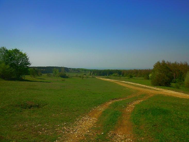 Дружне з panoramio.com - Дружне