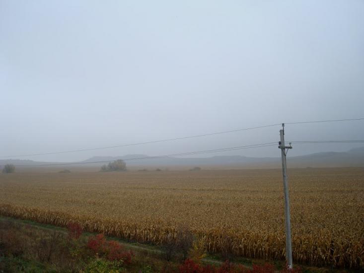 Вільхівці з panoramio.com - Вільхівці
