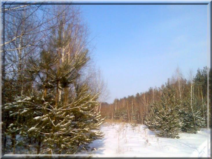 Кушкине з panoramio.com - Кушкино