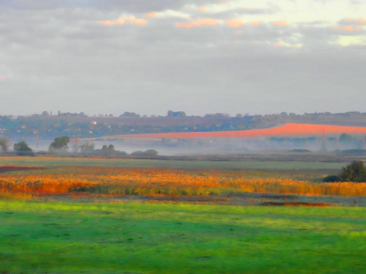 Рожаївка з panoramio.com - Рожаївка