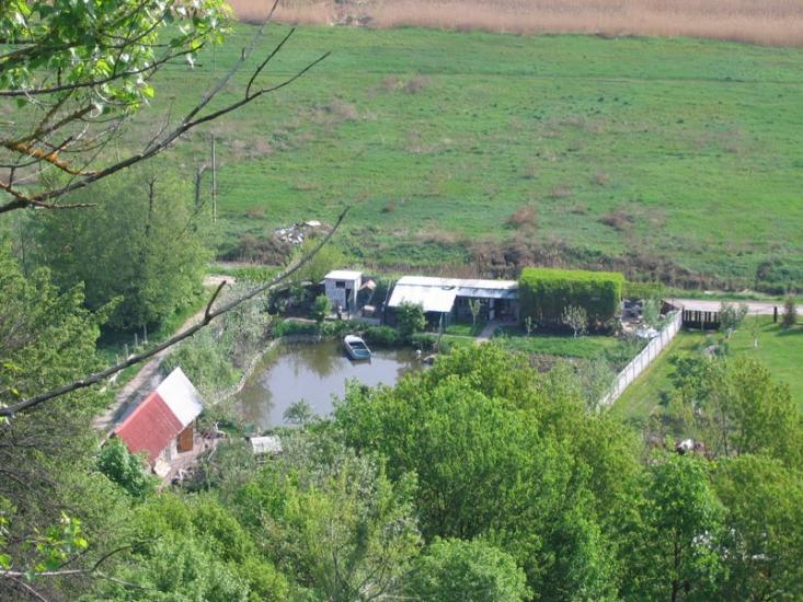 Великі Дмитровичі з panoramio.com - Великие Дмитровичи