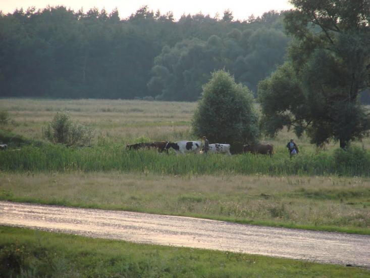 Велика Чернеччина з panoramio.com - Велика Чернеччина