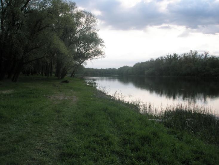 Жовте з panoramio.com - Желтое