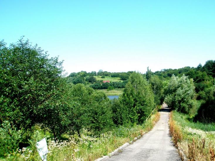 Великі Прицьки з panoramio.com - Великие Прицки