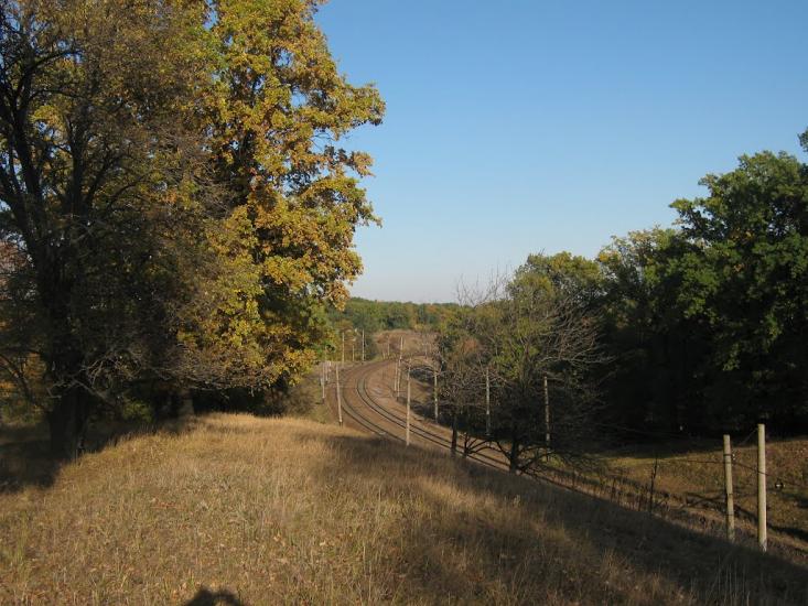 Високий з panoramio.com - Високий