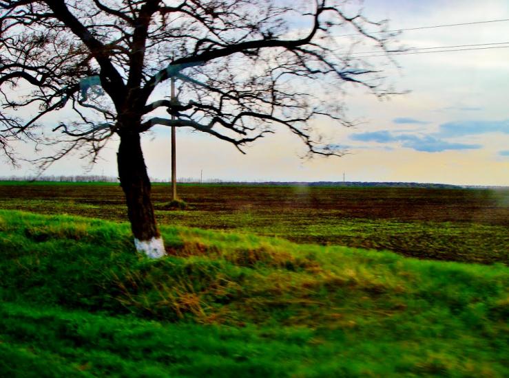 Смільчинці з panoramio.com - Смельчинцы