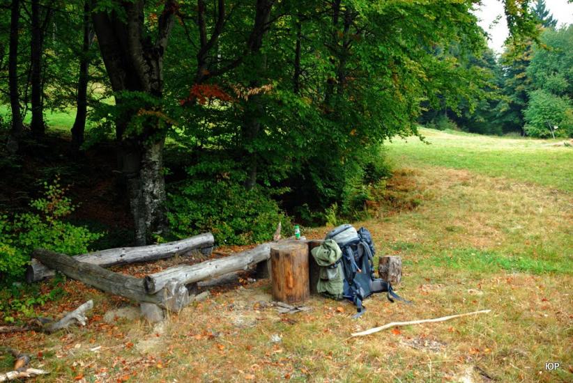 Суха з panoramio.com - Сухая