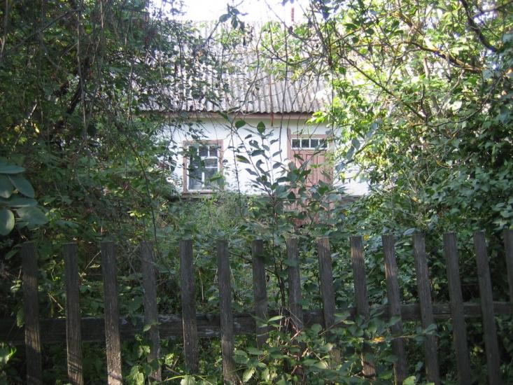 Майданецьке з panoramio.com - Майданецьке