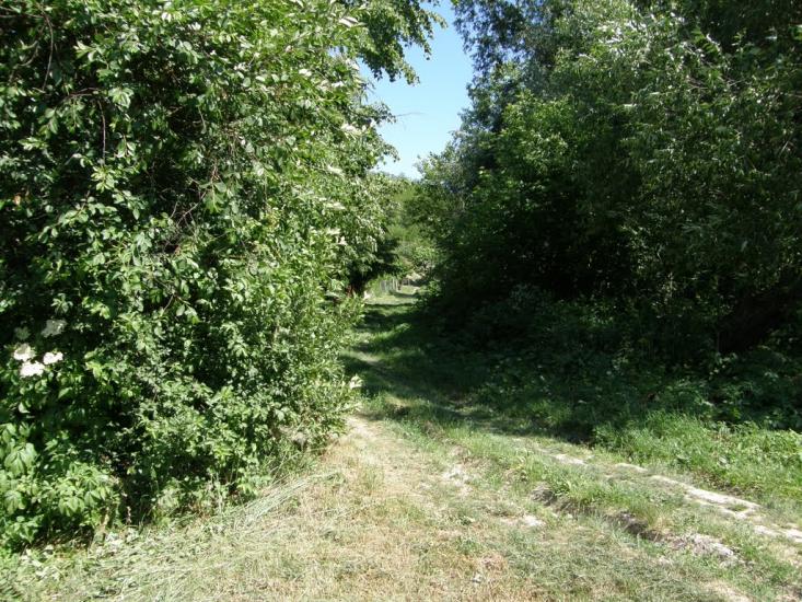 Новосілки з panoramio.com - Новосілки