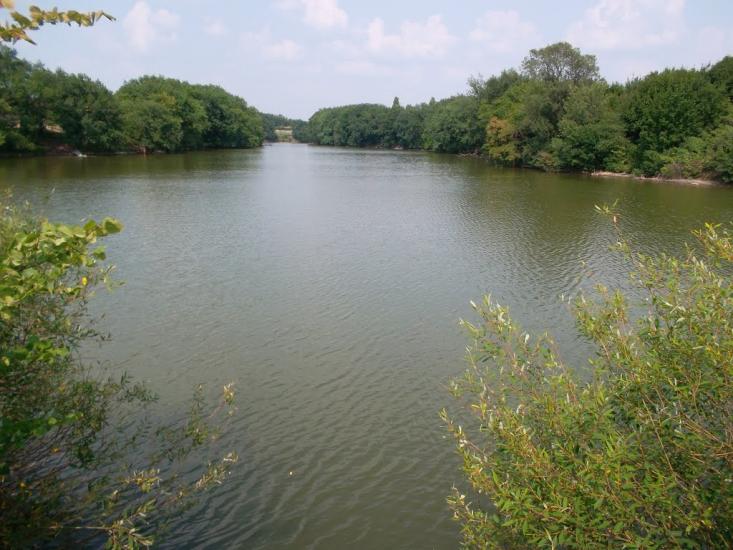 Данилове з panoramio.com - Данилове