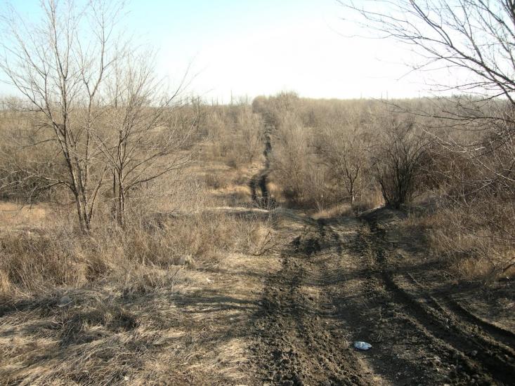 Лимани з panoramio.com - Лимани