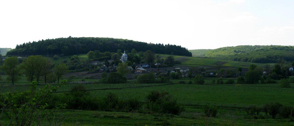 Потік з panoramio.com - Potik