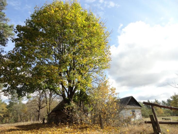 Градиськ з panoramio.com - Градиск