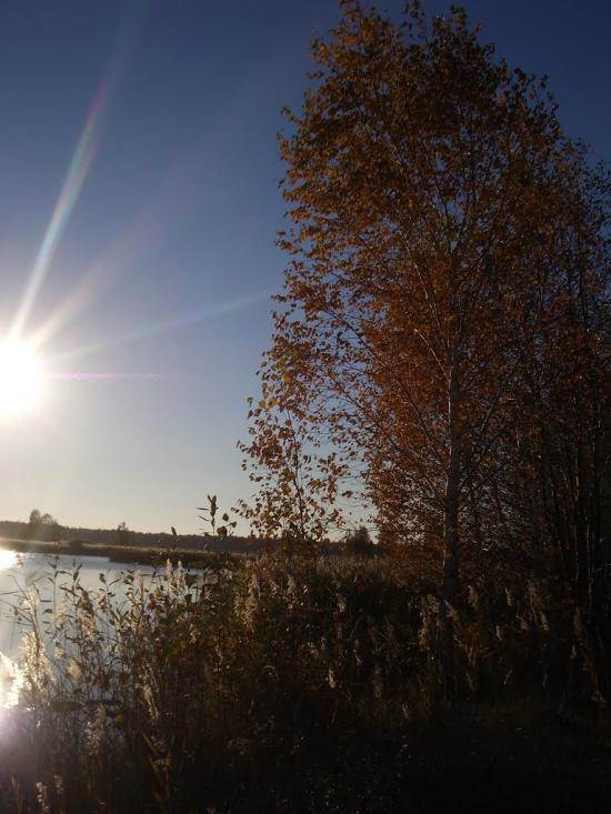 Ліпляве з panoramio.com - Лепляво