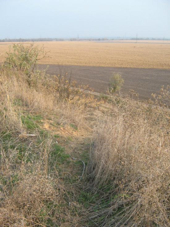 Старозаводське з panoramio.com - Старозаводское