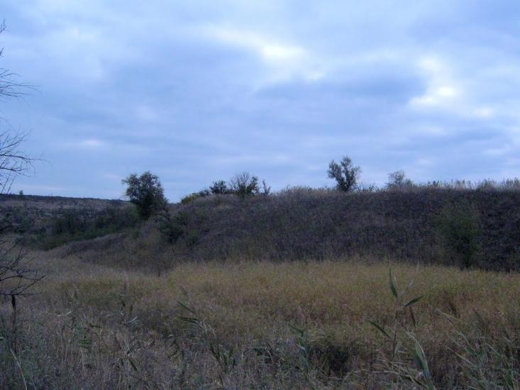 Старозаводське з panoramio.com - Старозаводське