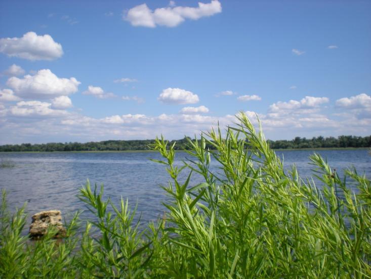 Придніпровське з panoramio.com - Придніпровське