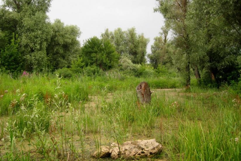 Придніпровське з panoramio.com - Придніпровське