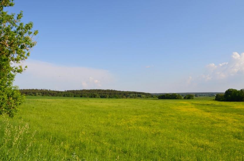 Новосілки з panoramio.com - Новосілки