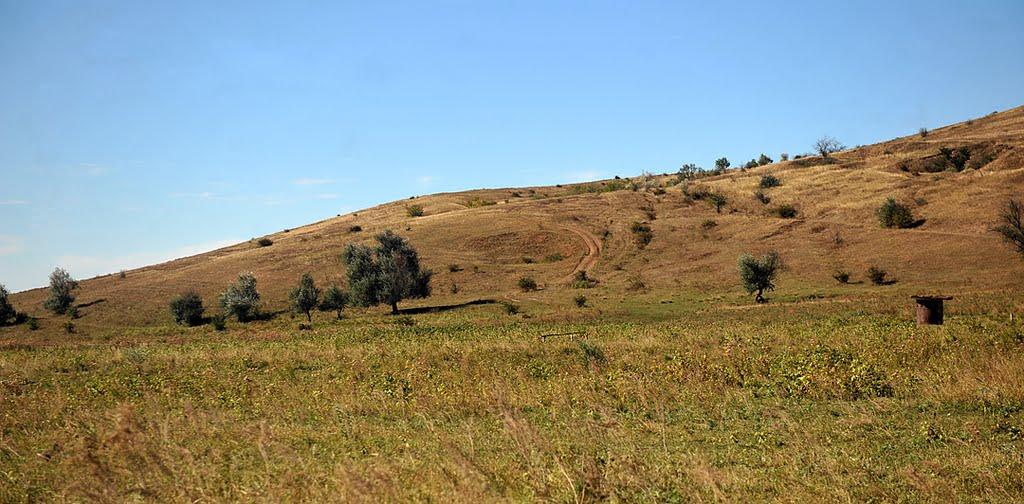 Білокузьминівка з panoramio.com - Білокузьминівка