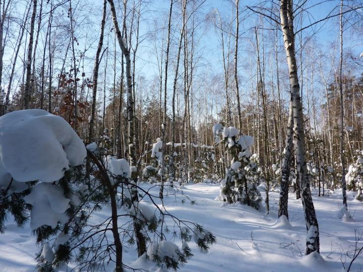 Романків з panoramio.com - Романків