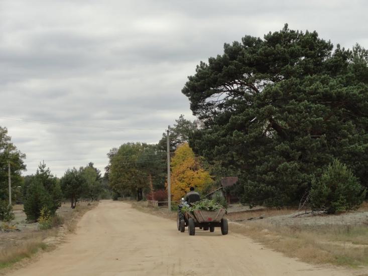 Градиськ з panoramio.com - Gradysk