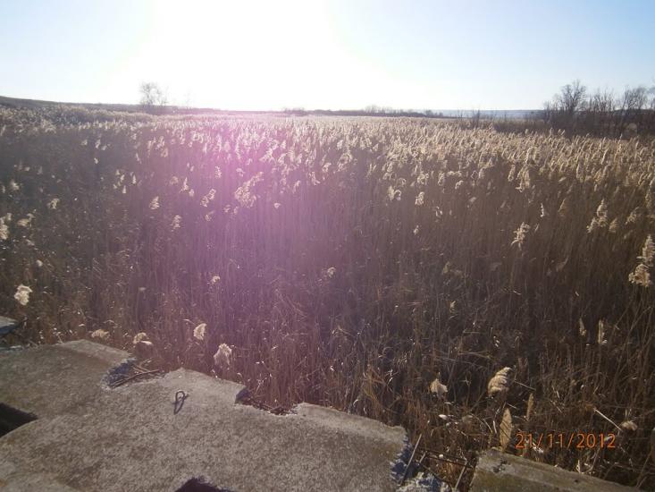 Колядівка з panoramio.com - Колядовка