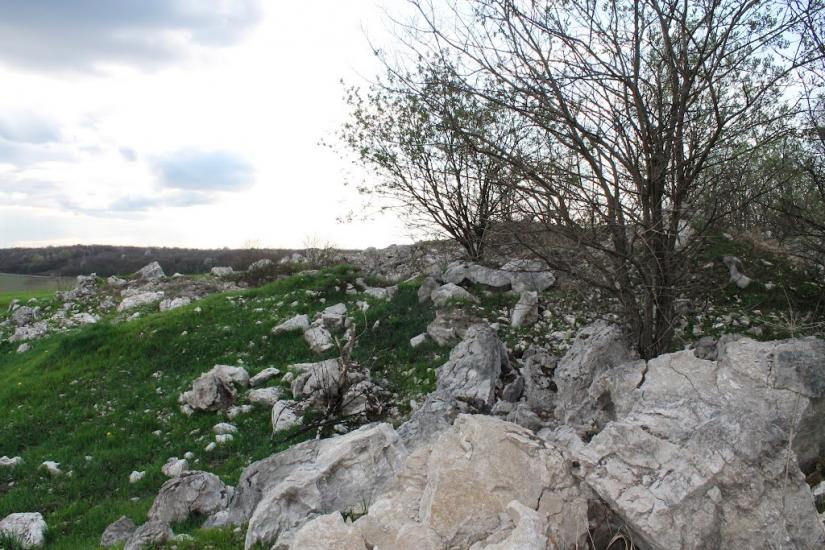 Узин з panoramio.com - Узин