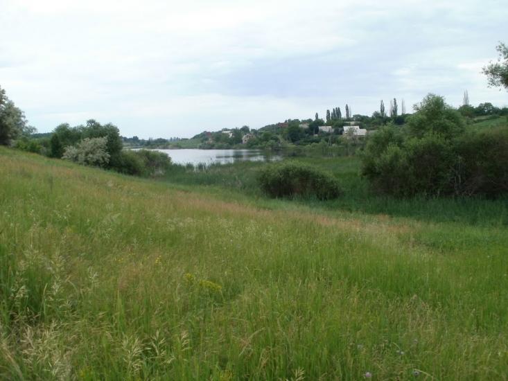Суха Балка з panoramio.com - Суха Балка