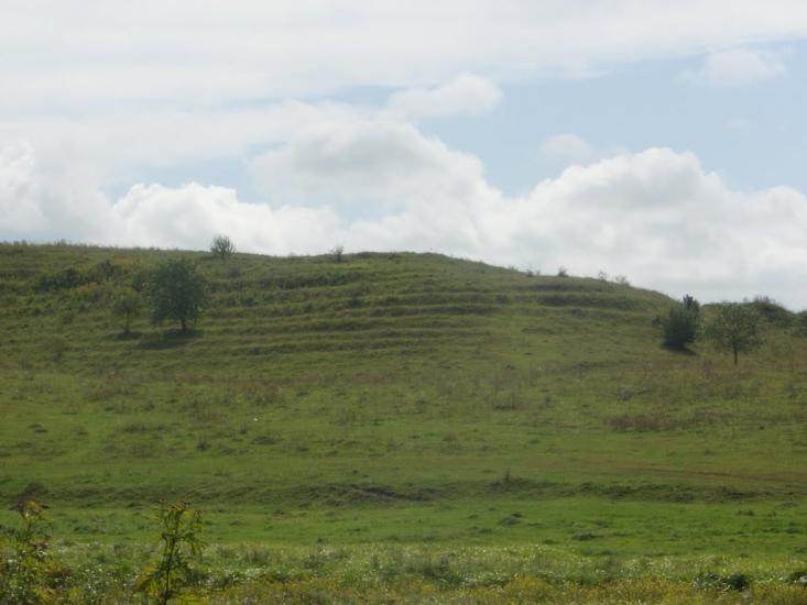 Чижівка з panoramio.com - Чижівка