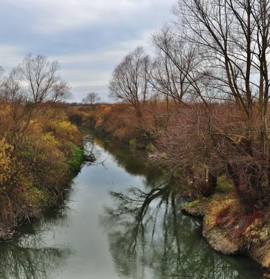 Липиці з panoramio.com - Липиці