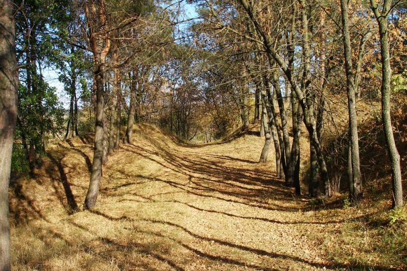 Велика Чернеччина з panoramio.com - Велика Чернеччина