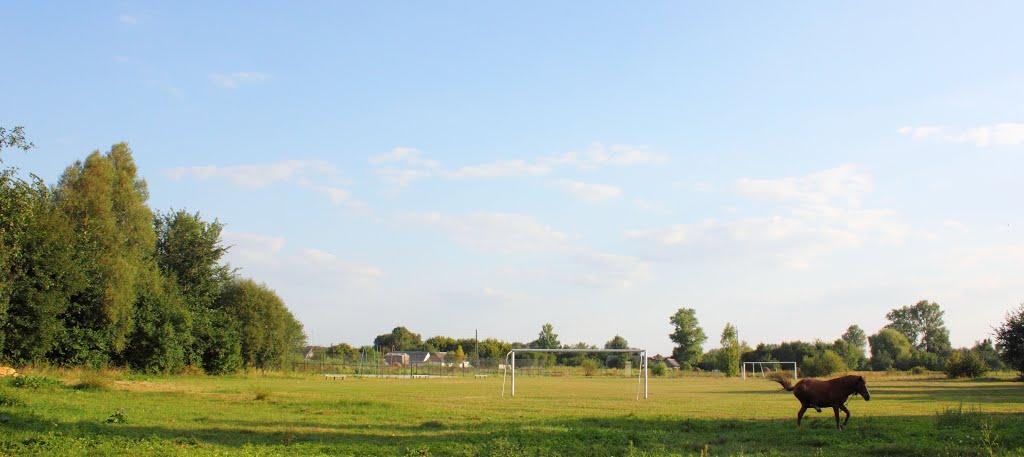 Курне з panoramio.com - Курне