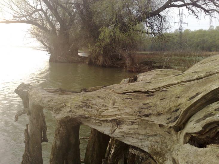 Дунайське з panoramio.com (ч.2) - Дунайское