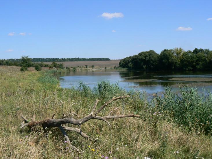 Голоскове з panoramio.com - Голоскове