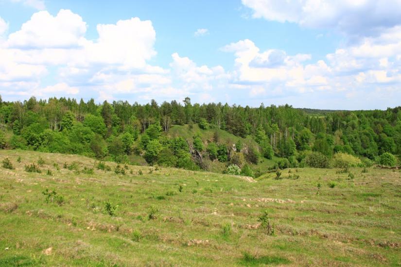 Маринин з panoramio.com - Маринин