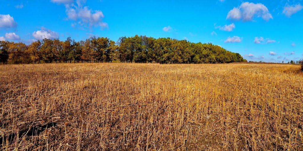 Нікішине з panoramio.com - Никишино