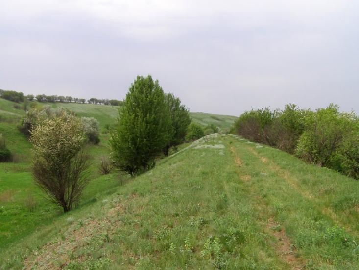 Маївка з panoramio.com - Маевка