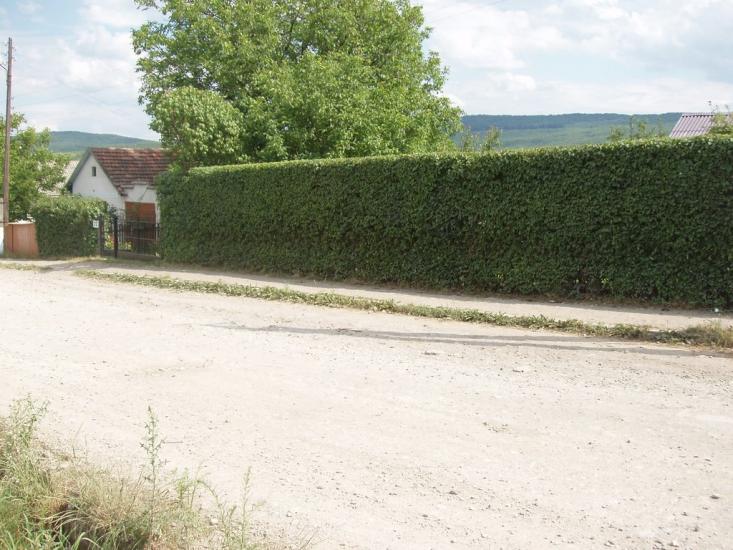 Горошівці з panoramio.com - Горошовцы