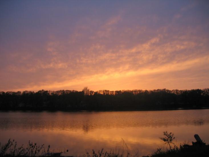 Сад з panoramio.com - Сад