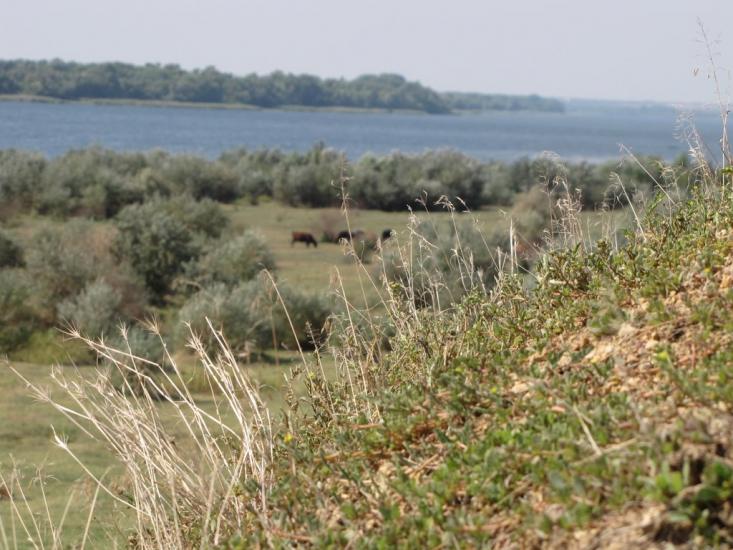 Іванівка з panoramio.com - Ивановка
