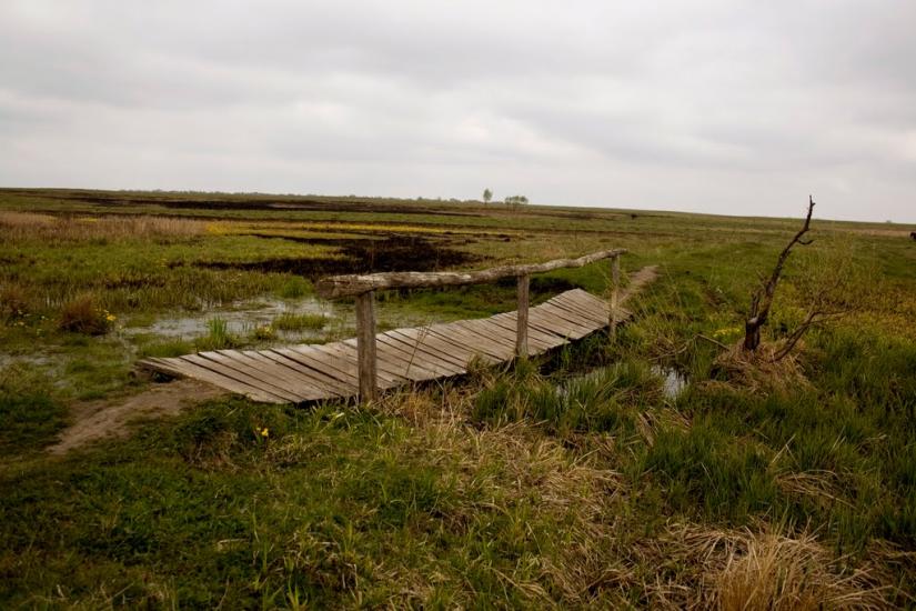 Нехворощ з panoramio.com - Нехворощ