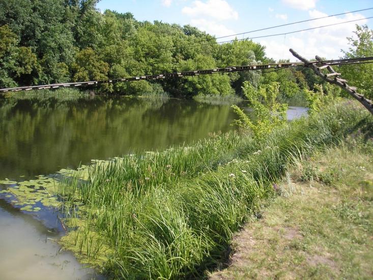 Дворічне з panoramio.com - Двуречное