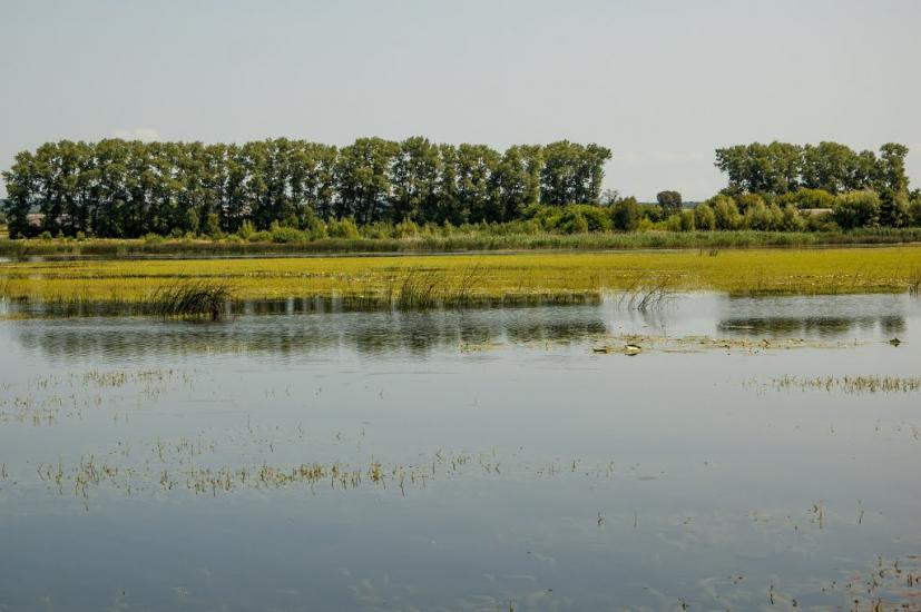 Зарічне з panoramio.com - Зарічне