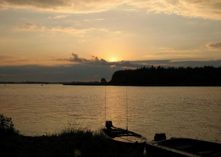 Сорокошичі з panoramio.com - Сорокошичи