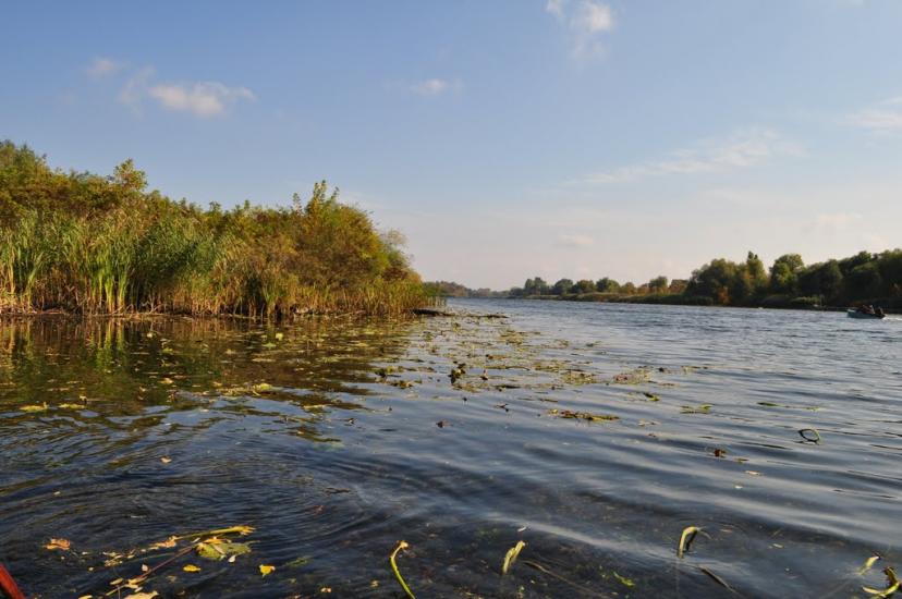 Козачі Лагері з panoramio.com - Козачие Лагеря