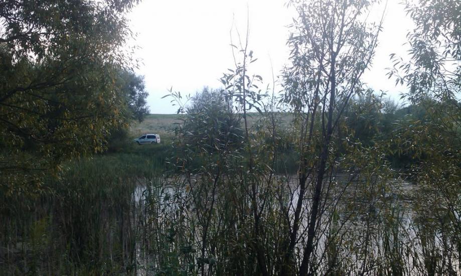 Вербиця з panoramio.com - Вербиця